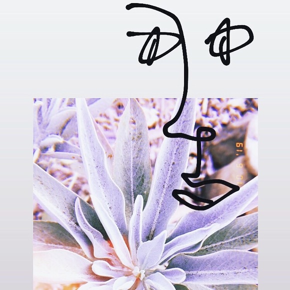 Meet your Posher, Moo - Picture 2 of 2